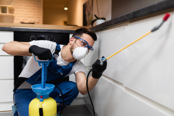 Best Mosquito Control Services  in Stephenville, TX