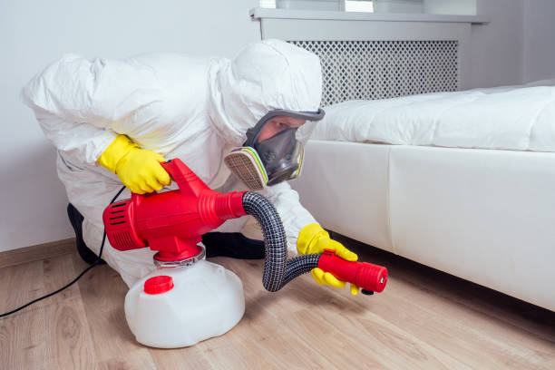 Best Local Pest Control Services  in Stephenville, TX