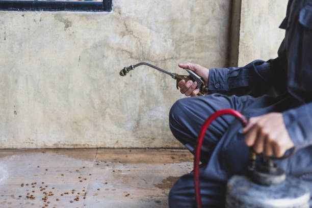 Best Affordable Pest Control Services  in Stephenville, TX